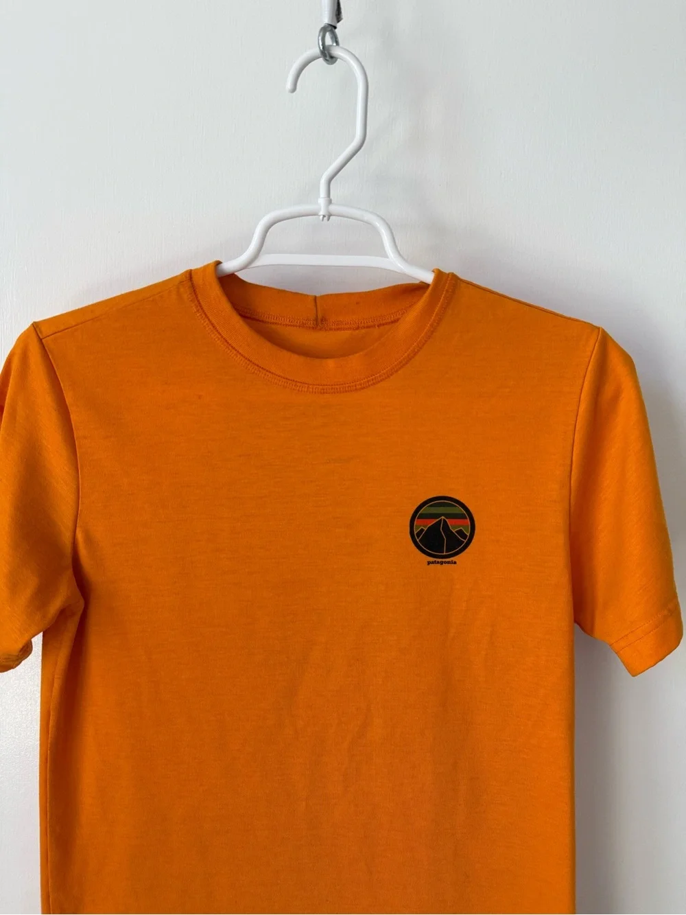 Patagonia Built to Endure Graphic Short Sleeve Shirt Size L (12)